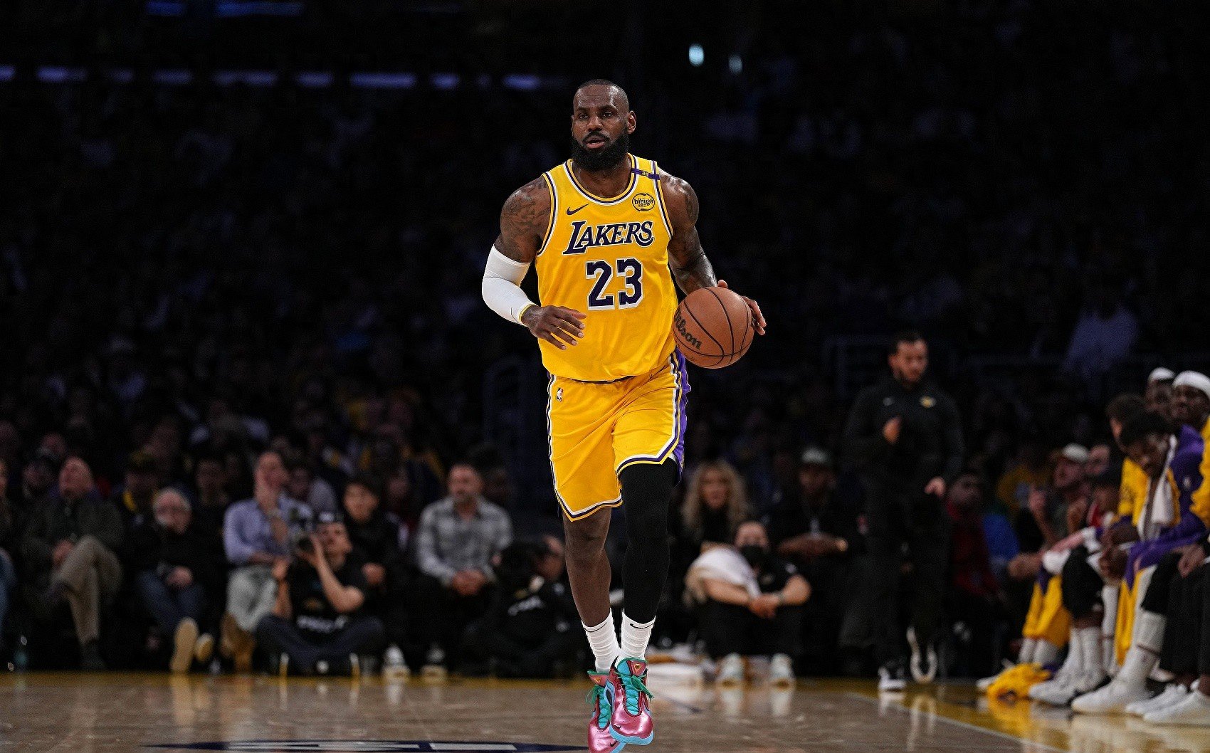 詹皇带队灭鹈鹕，全面发挥